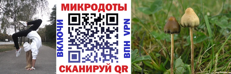 Галлюциногенные грибы ЛСД  что такое наркотик  Мглин 
