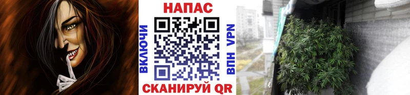 Канабис гибрид  Мглин 